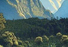 Les 8 et 9 mai, célébrons en compagnie de nos amis Lorrains