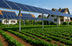 Agrivoltaique au coeur de notre commune